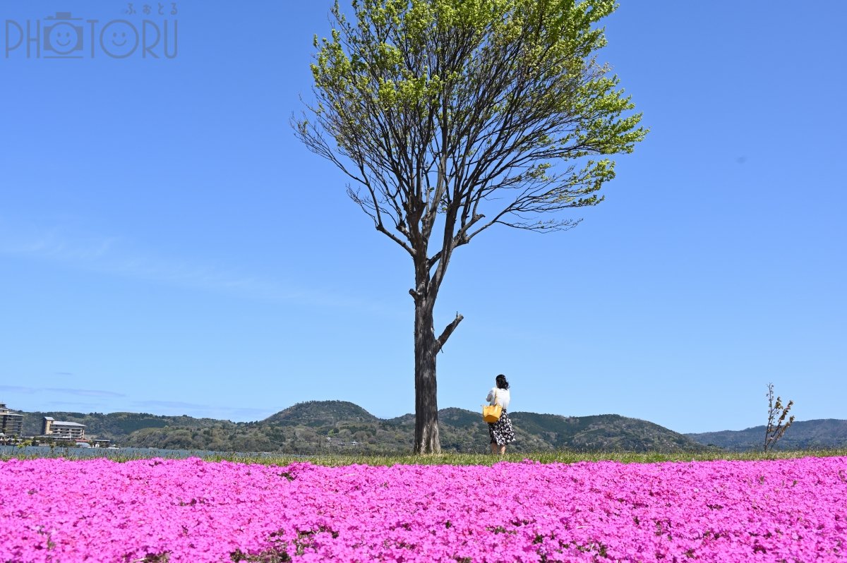 きしもと　ひろしのポートフォリオ0