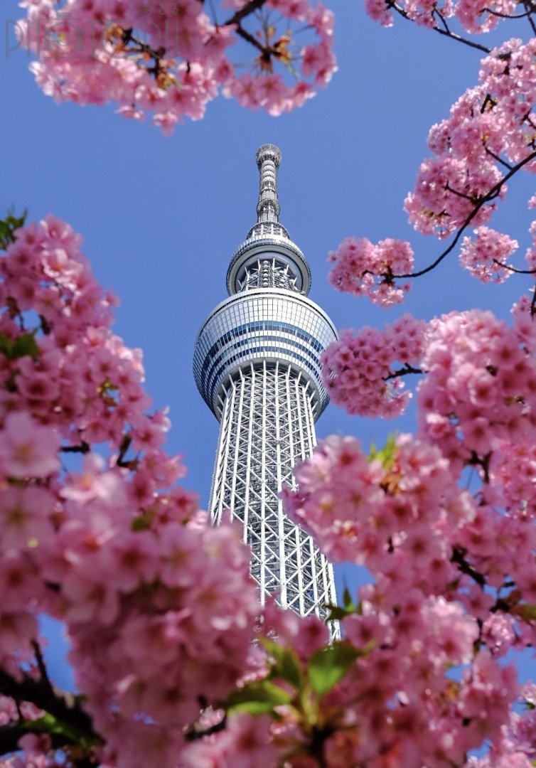 山内 悠平のポートフォリオ4