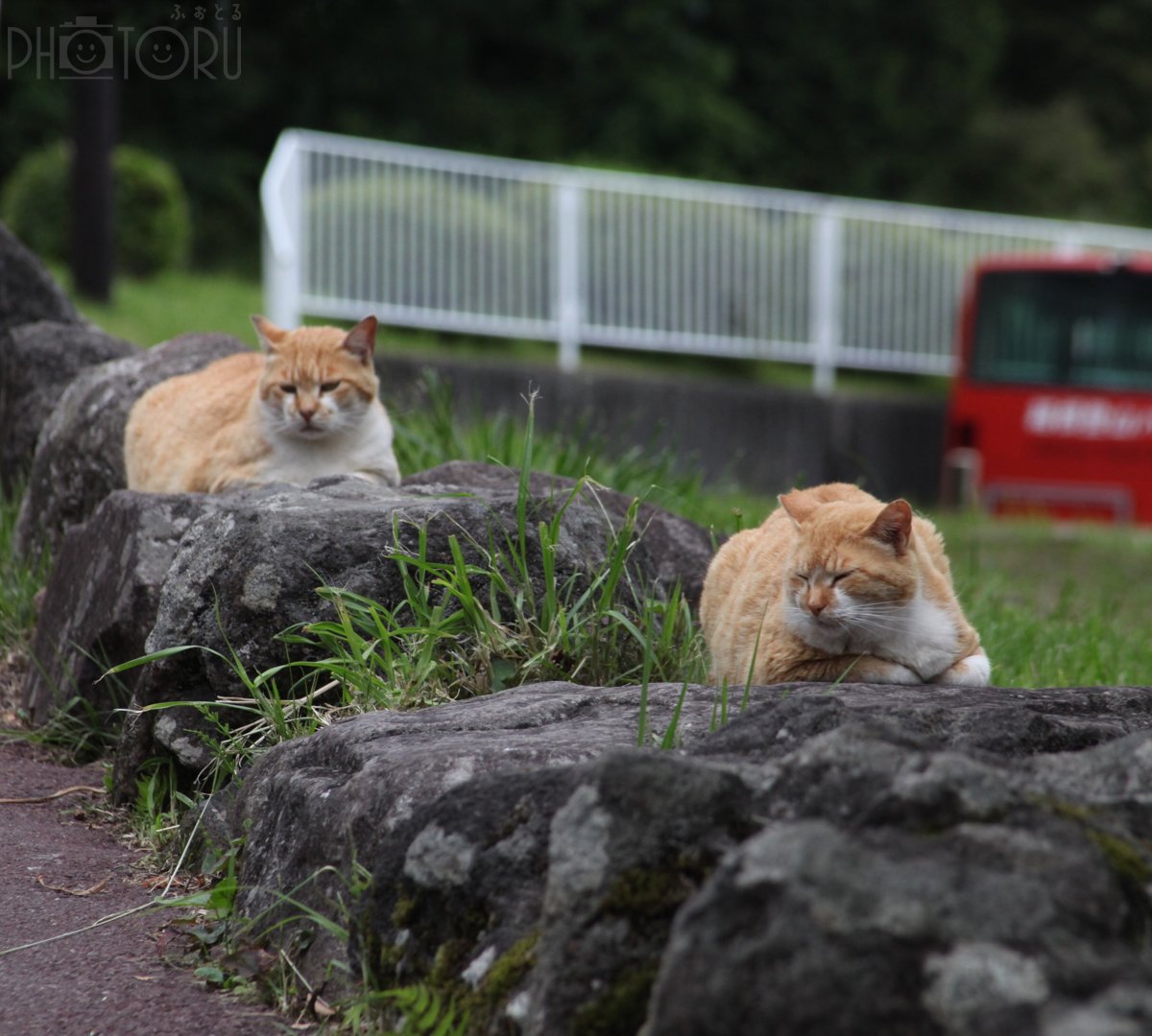 NAOTOのポートフォリオ0