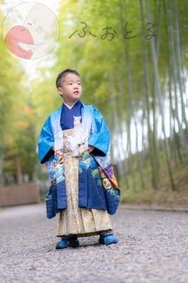 コシヒカリ🌾のポートフォリオ1