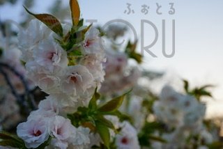 佐倉 桜のポートフォリオ3