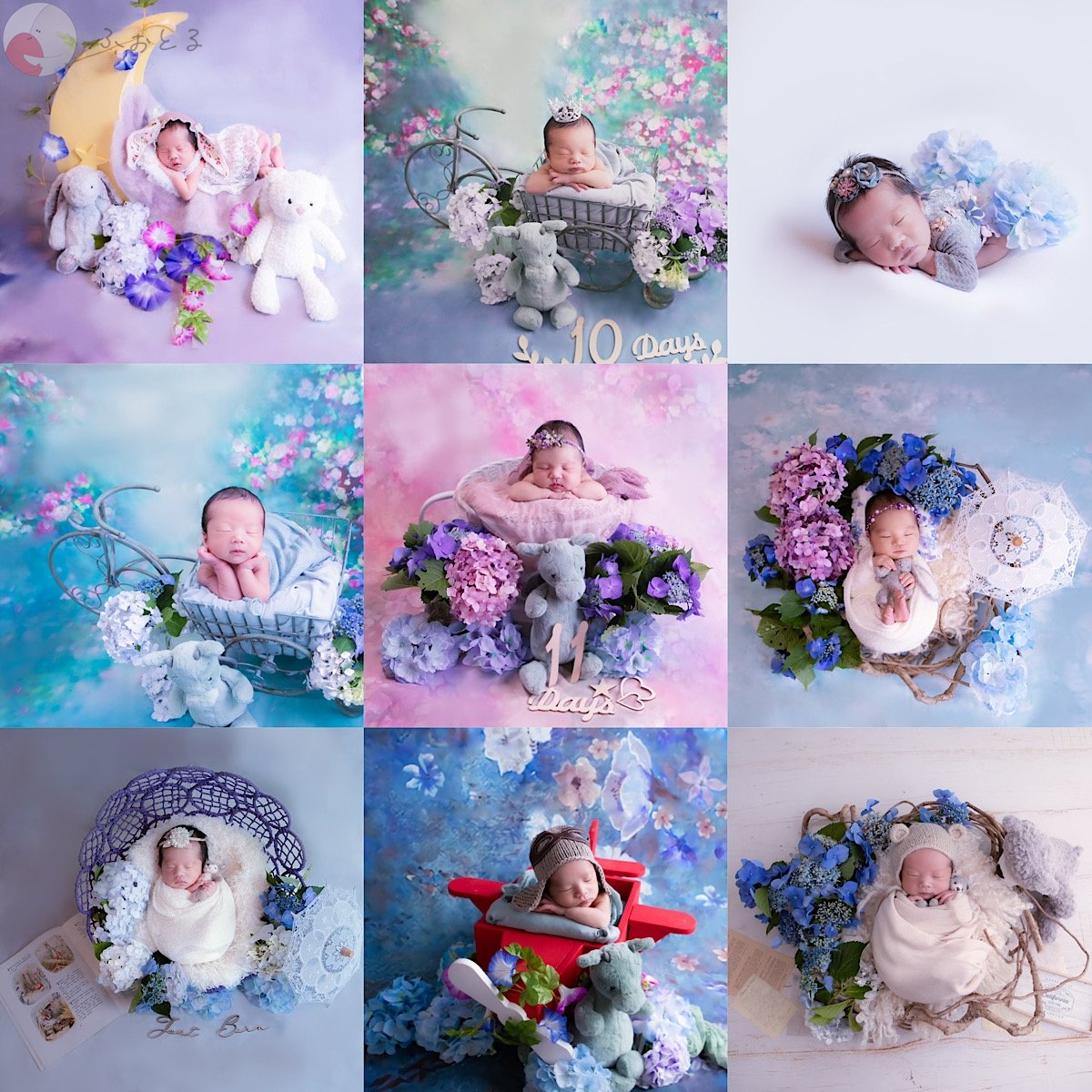 newborn photo 月夢のポートフォリオ3