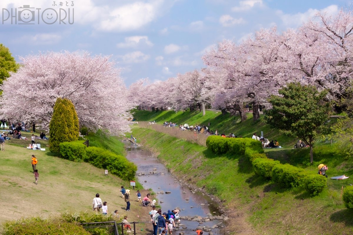 丸山のポートフォリオ4