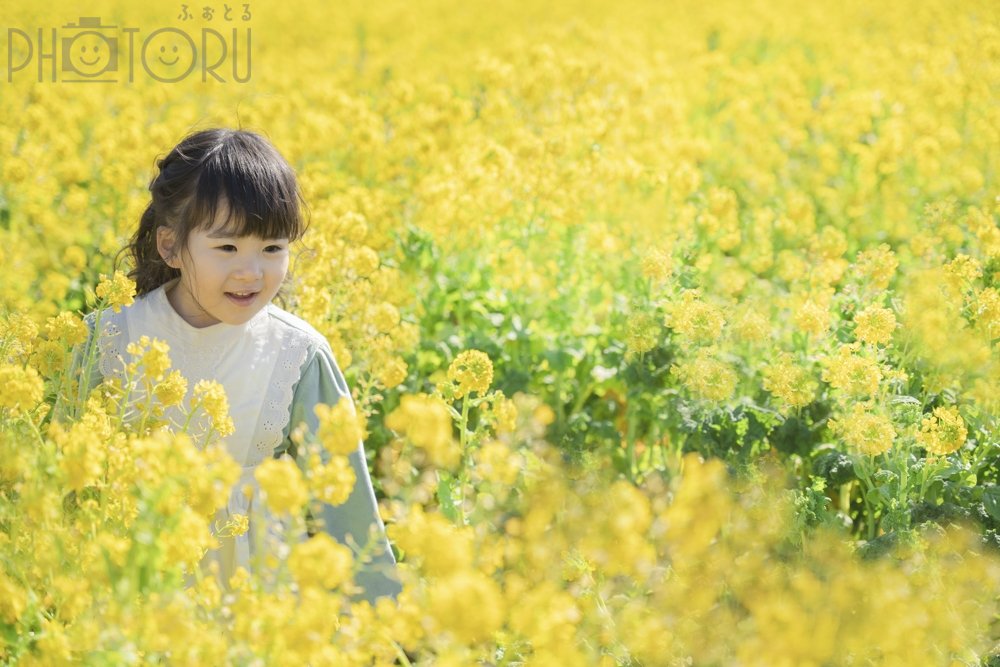 Tomomiのポートフォリオ4