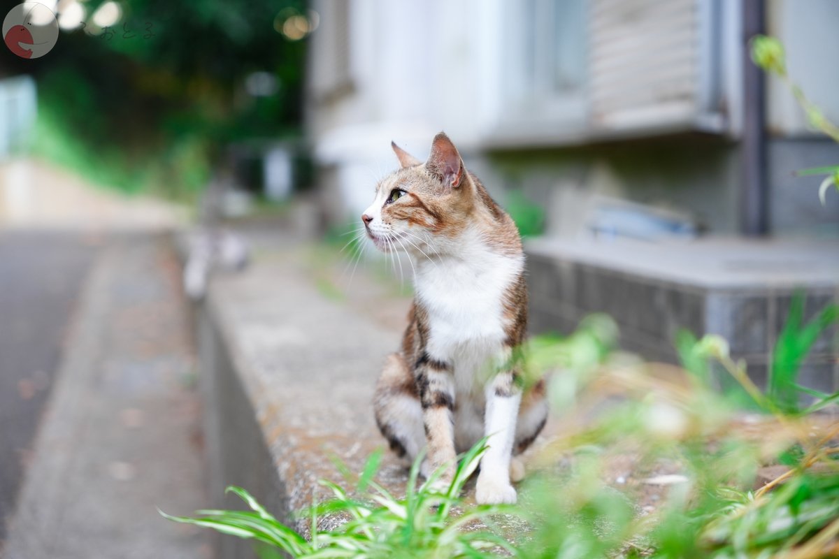 タカヒロのポートフォリオ6