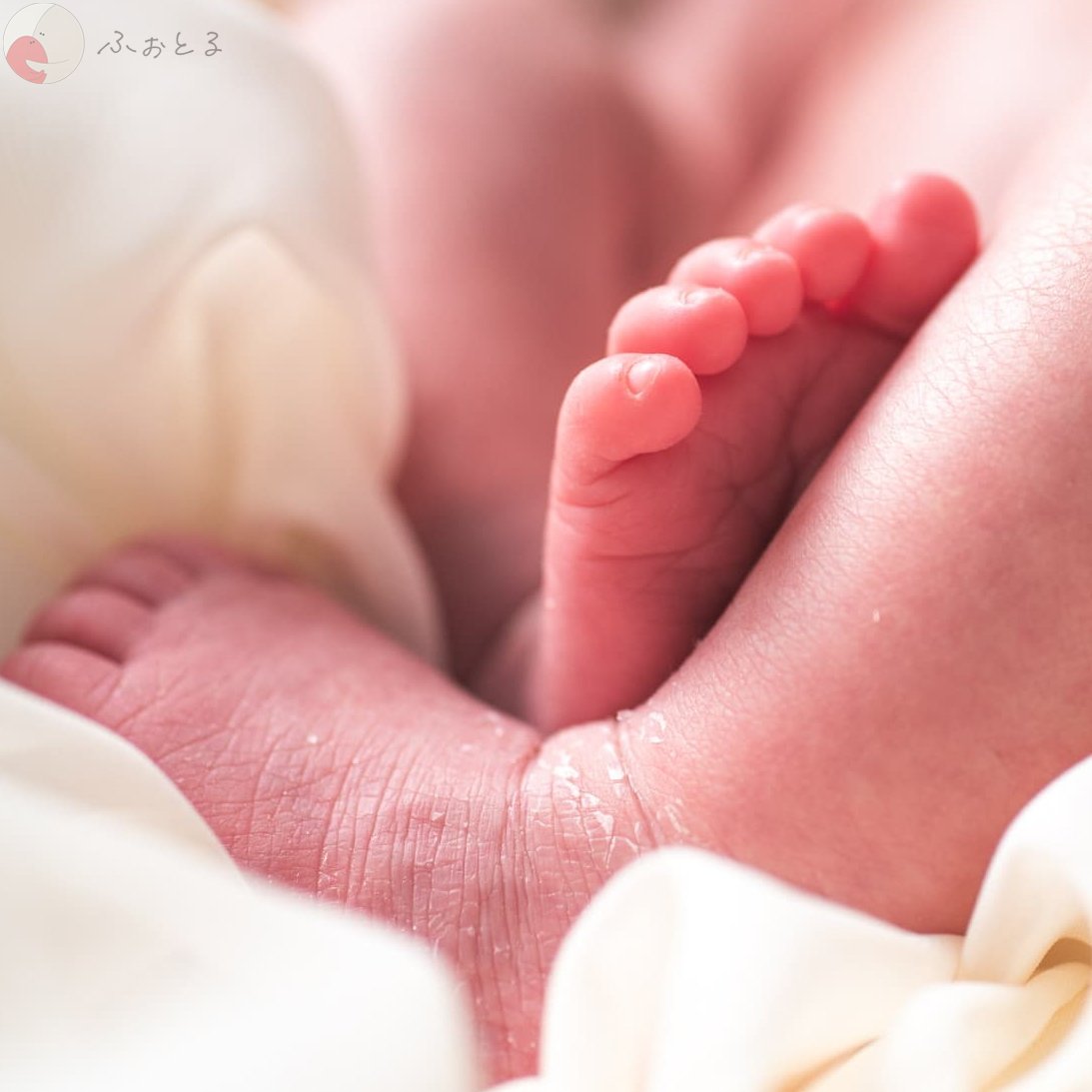 NewbornPhoto Nachのポートフォリオ7