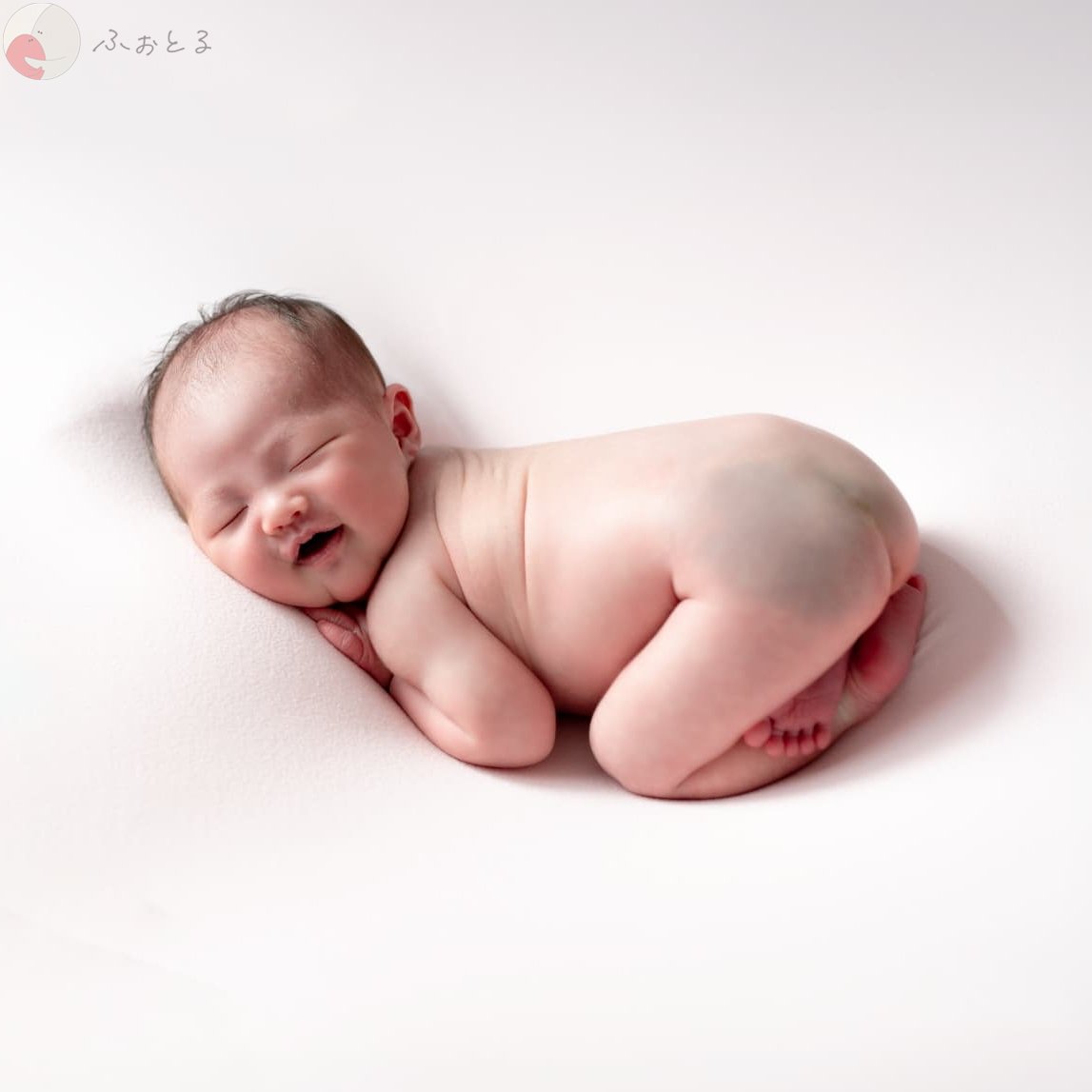 NewbornPhoto Nachのポートフォリオ8