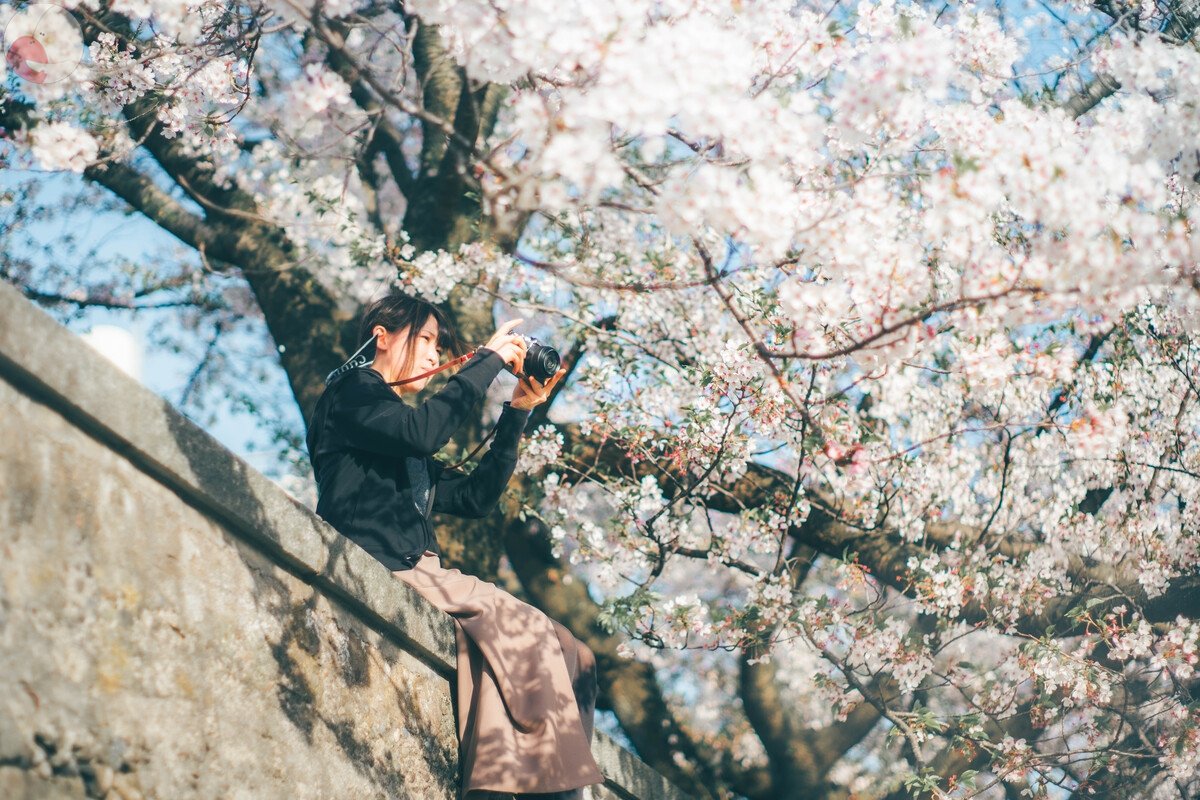 桜庭ゆいのポートフォリオ4