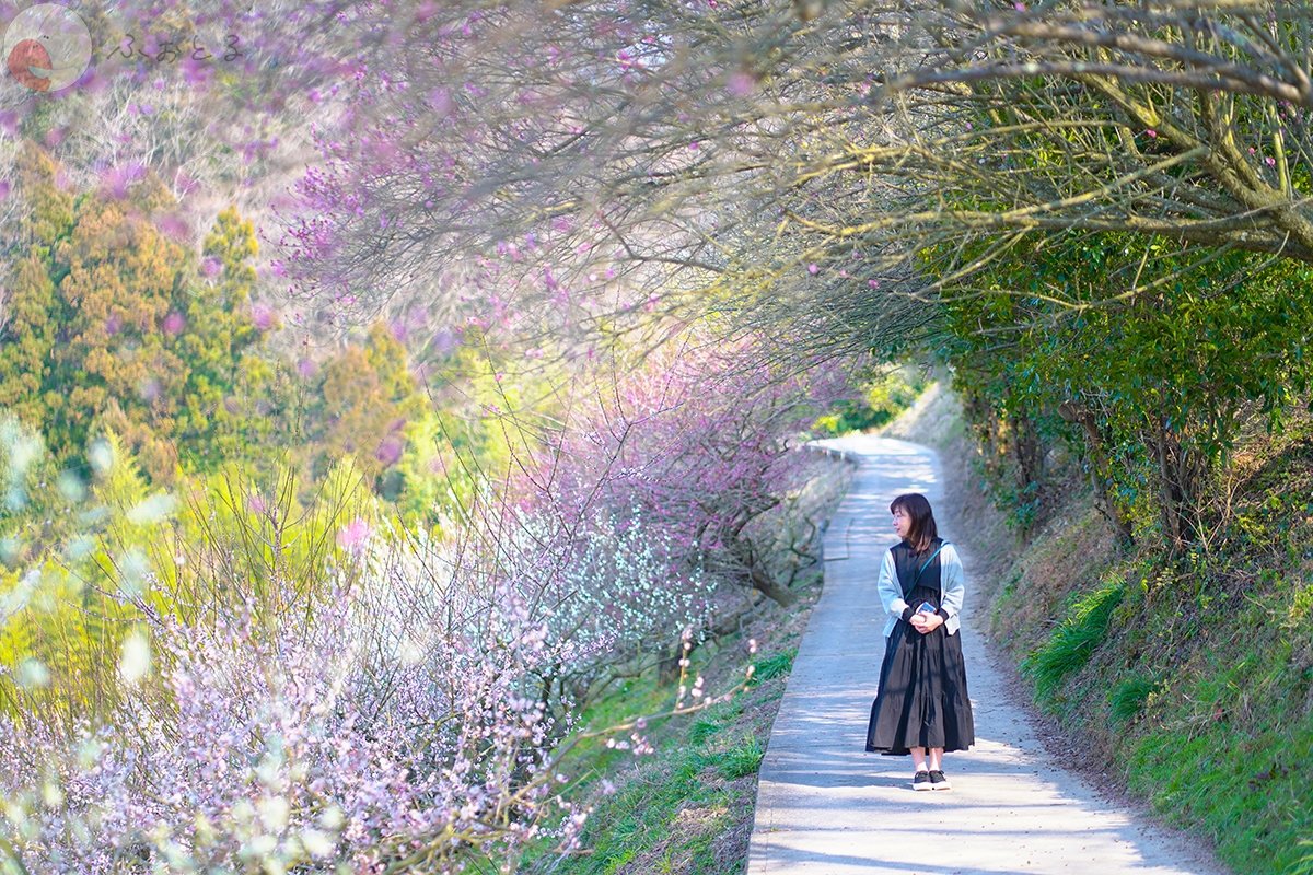 上野明嗣（あきさん）のポートフォリオ6