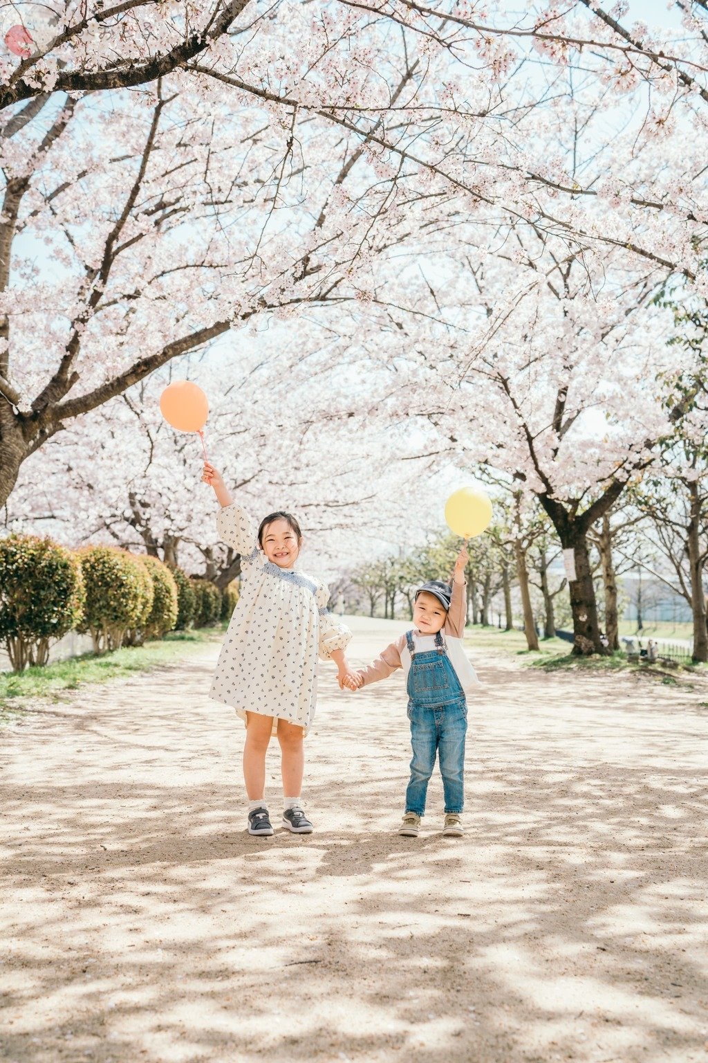 Hare photographyのポートフォリオ0