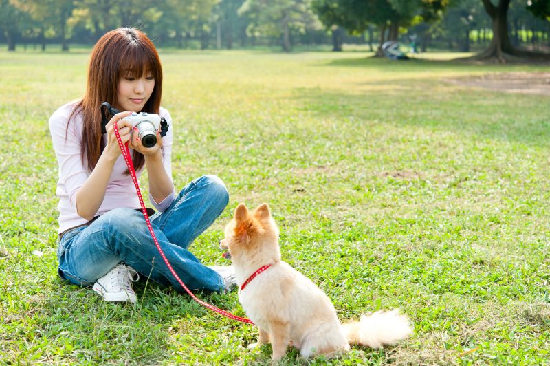 愛犬をもっと可愛く撮れるカメラ 加工アプリを15個紹介 ふぉとるプラス 写真がもっと好きになる総合webメディア