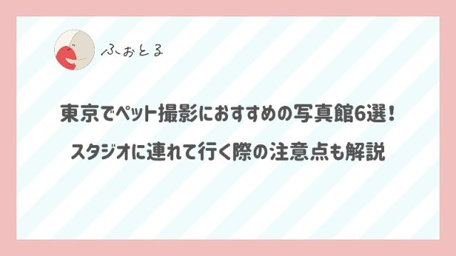 東京でペット撮影におすすめの写真館6選！スタジオに連れて行く際の注意点も解説