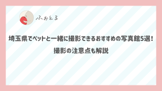 埼玉県でペットと一緒に撮影できるおすすめの写真館5選！撮影の注意点も解説