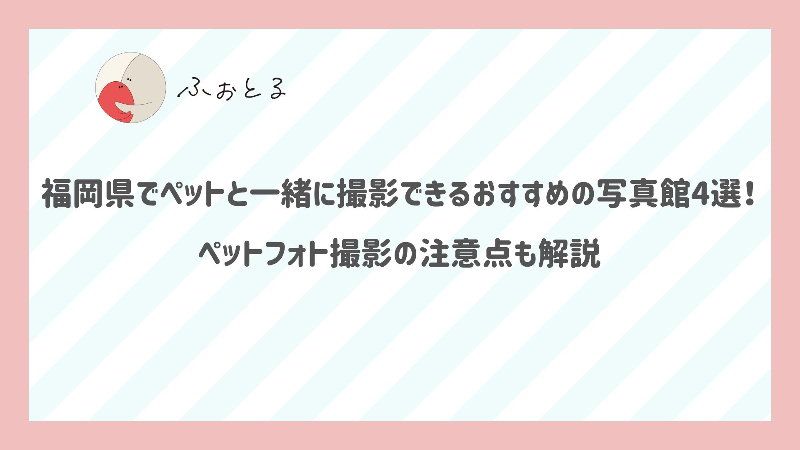 福岡県でペットと一緒に撮影できるおすすめの写真館4選！ペットフォト撮影の注意点も解説