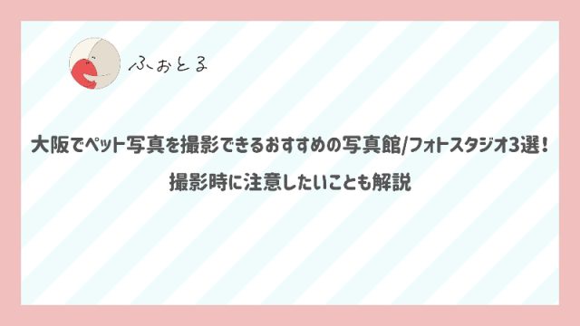 大阪でペット写真を撮影できるおすすめの写真館フォトスタジオ3選！撮影時に注意したいことも解説